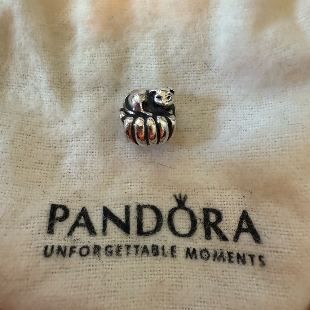 Pandora Cozy Cat on Pillow charm!